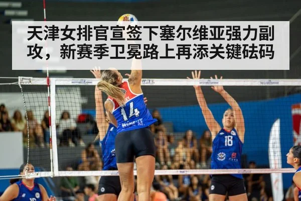天津女排官宣签下塞尔维亚强力副攻，新赛季卫冕路上再添关键砝码