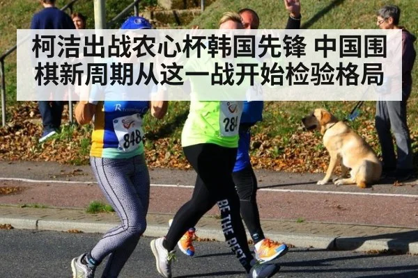 柯洁出战农心杯韩国先锋 中国围棋新周期从这一战开始检验格局